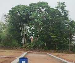 Real Estate Properties for sale & rent in Angamaly