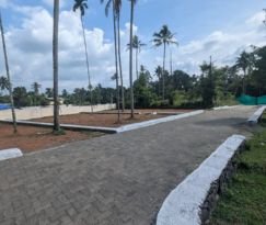 Residential Land for sale in Karukutty, Angamaly